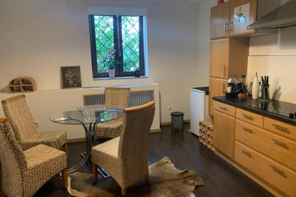 Gartenwohnung 5 Min. Zur Stadt Hagenau Luaran gambar