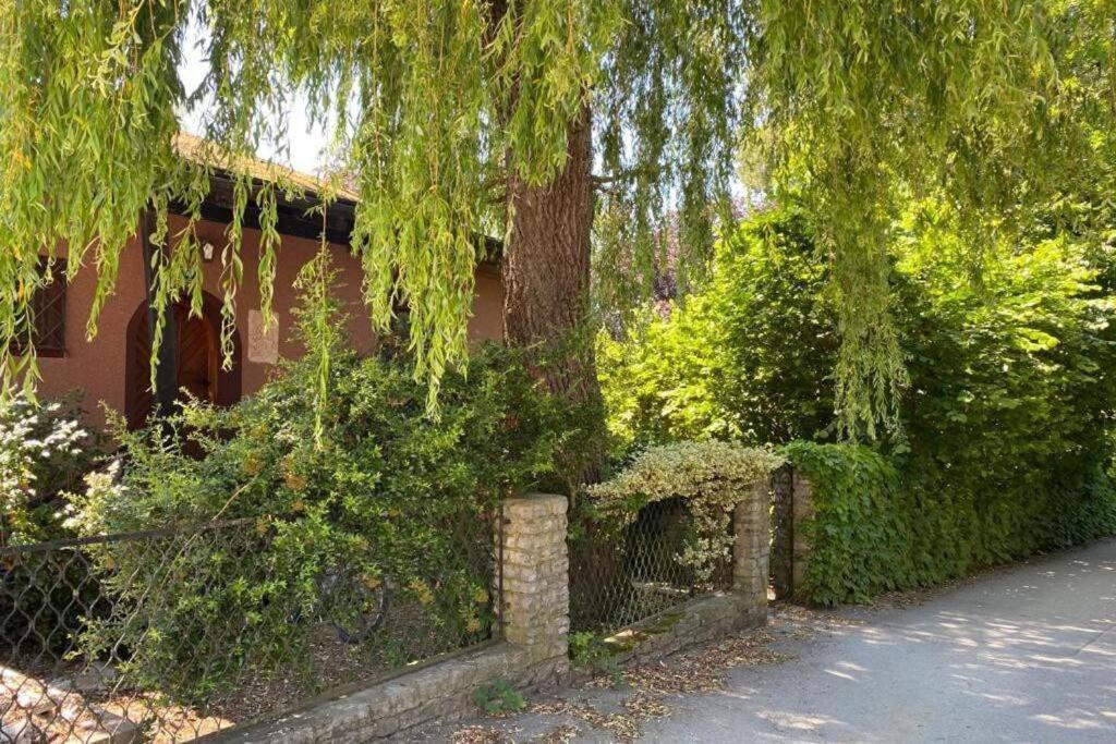 Gartenwohnung 5 Min. Zur Stadt Hagenau Luaran gambar